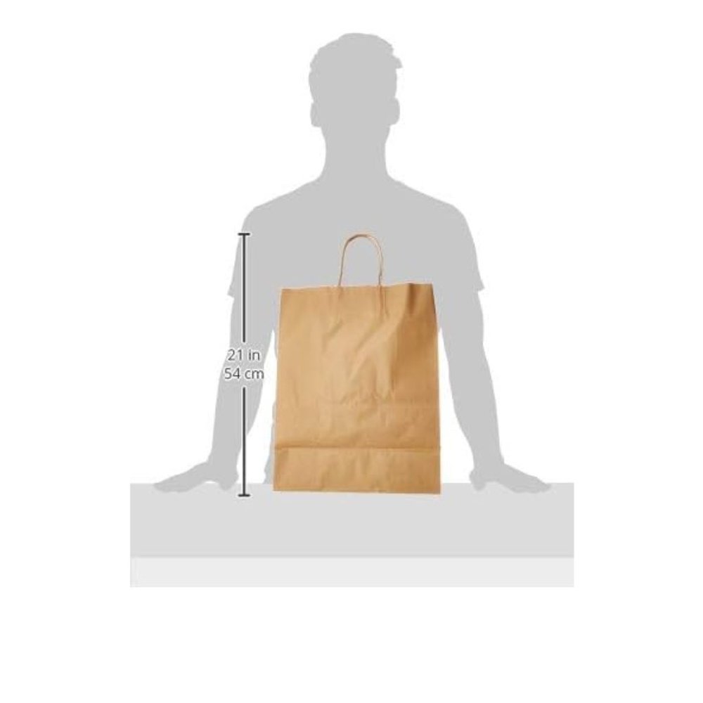 Natural Kraft Paper Bags | with Handles | Quantity 21 bags | Multipurpose shop